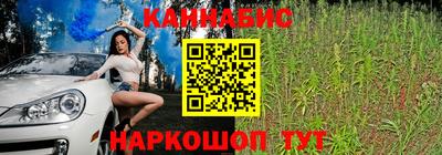 Альфа ПВП Чапаевск