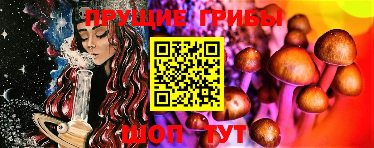 Алушта  Галлюциногенные грибы Cubensis  купить наркотик  Вход с VPN 