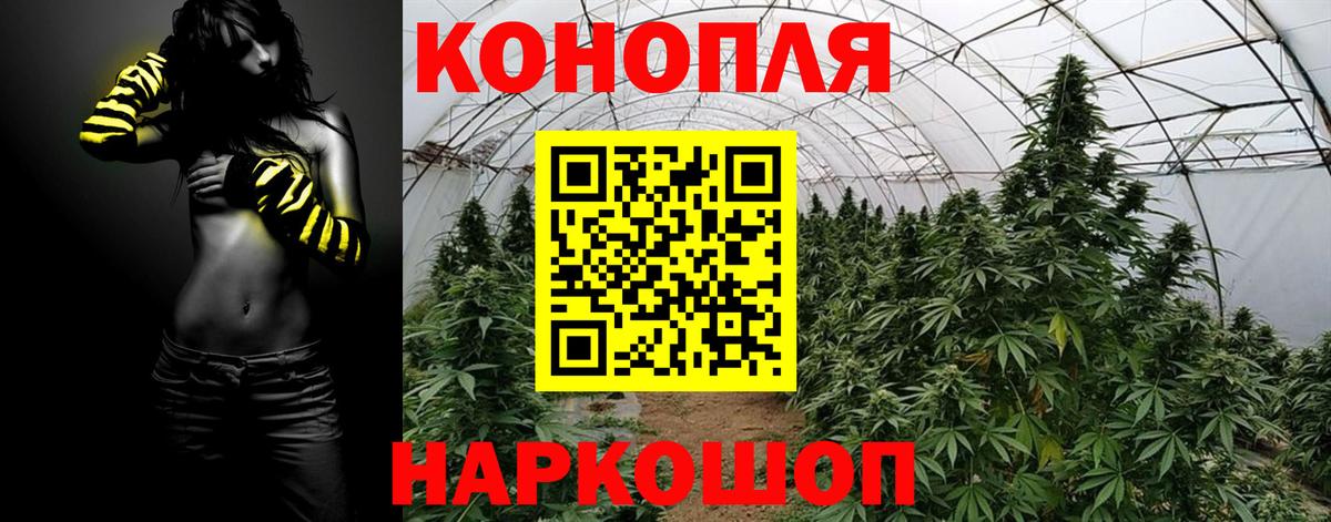 Шишки марихуана OG Kush  Бошки марихуана марихуана  Вход с VPN  Бошки Шишки индика  Алушта 